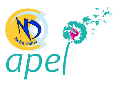 Apel Notre-Dame Strasbourg